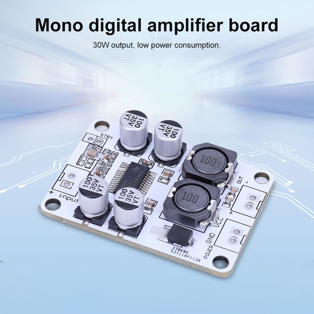 TPA3110 PBTL Single Channel Am - огляд і ціна Best Diy Electronics Kits